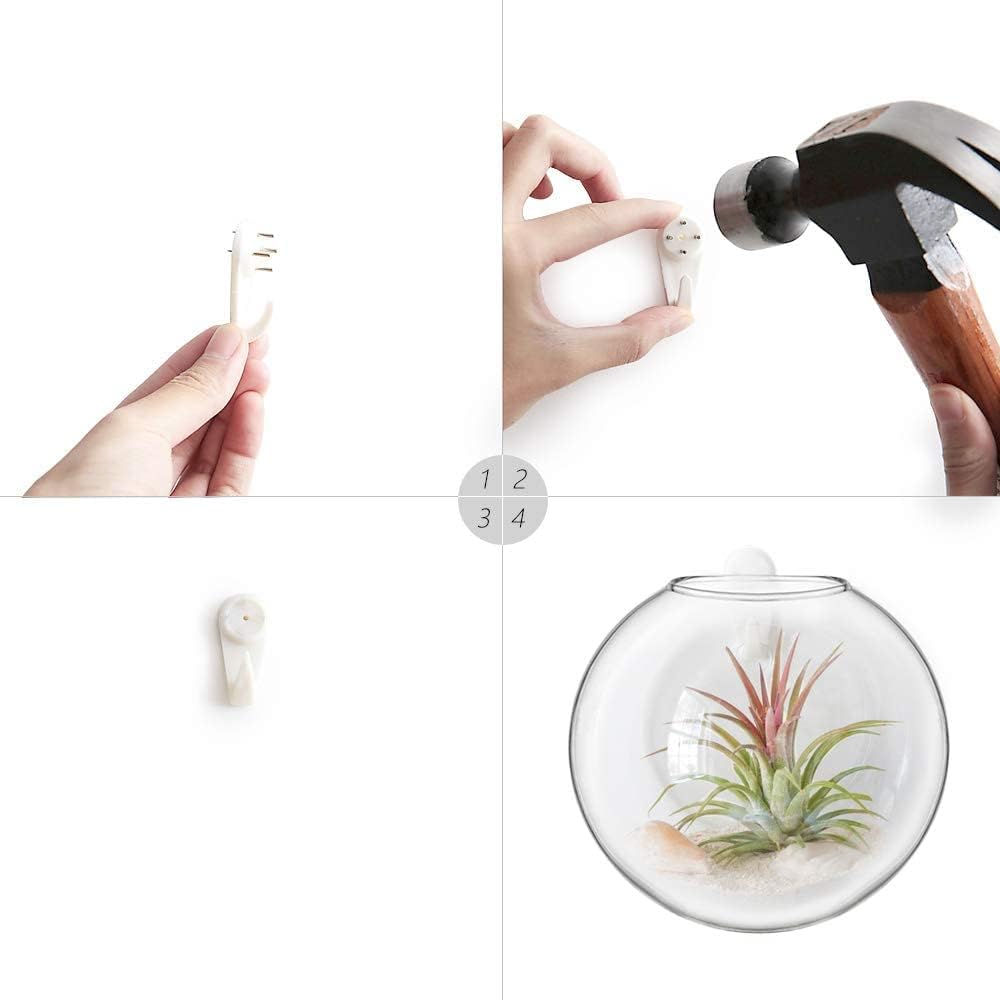 Stylish Wall Hanging Planter Set of 4 - Elegant Glass Propagation Stations for Hydroponics, Perfect for Home, Office, and Bathroom Decor