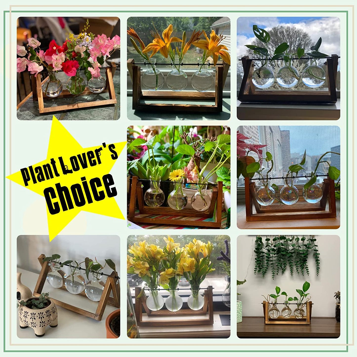 Elegant Plant Terrarium with Wooden Stand - 3 Bulb Glass Vase for Hydroponics & Home Decor