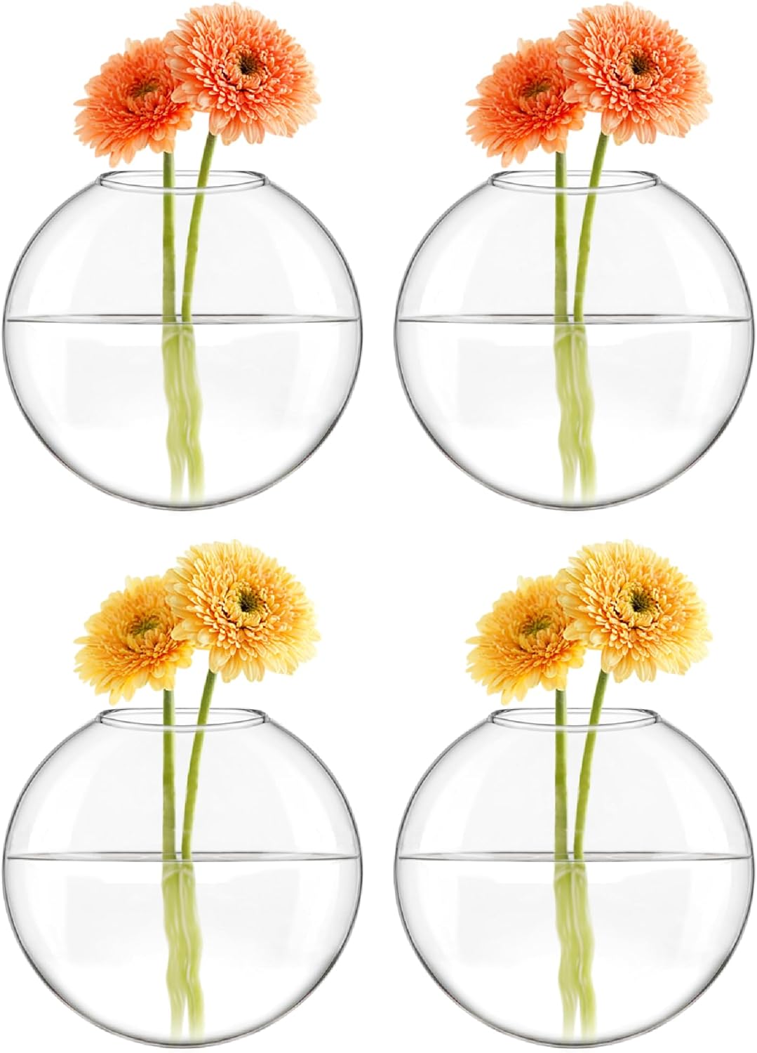 Stylish Wall Hanging Planter Set of 4 - Elegant Glass Propagation Stations for Hydroponics, Perfect for Home, Office, and Bathroom Decor