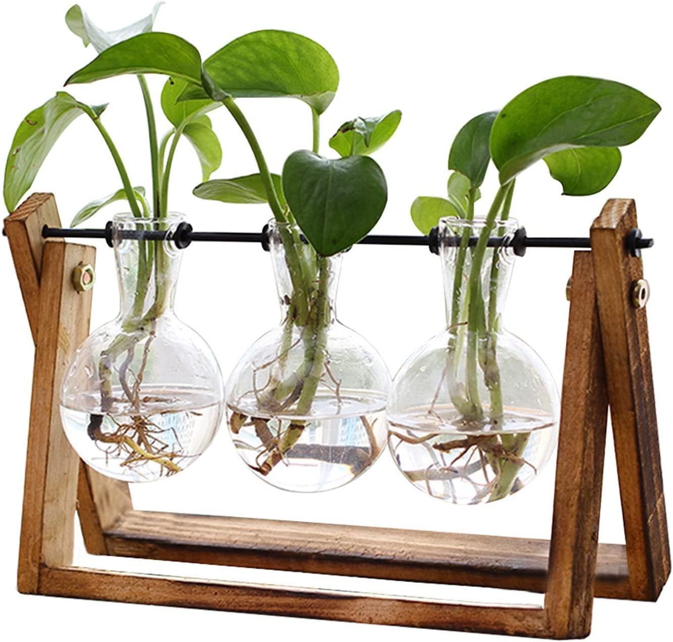 Elegant Plant Terrarium with Wooden Stand - 3 Bulb Glass Vase for Hydroponics & Home Decor