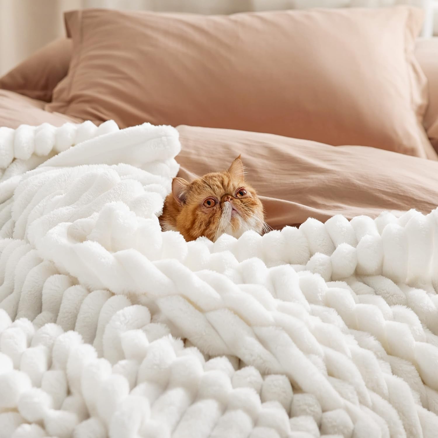 Luxurious  White Throw Blanket - Soft Fleece Cozy Blanket for Couch, Perfect Gift for Women, Girls, and Teachers - Stylish Home Decor, 50x60 Inches
