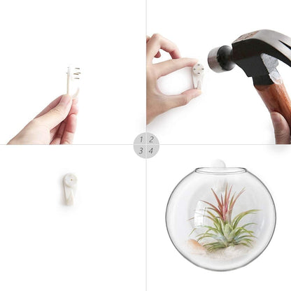 Stylish  Wall Hanging Planter Set of 4 - Elegant Glass Propagation Stations for Hydroponics, Perfect for Home, Office, and Bathroom Decor